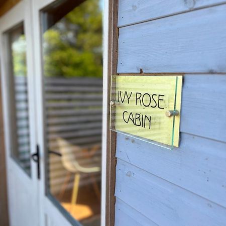 Ivy Rose Cabin No Hot Tub 布德 外观 照片